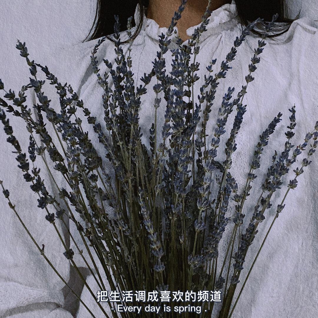 悦风
