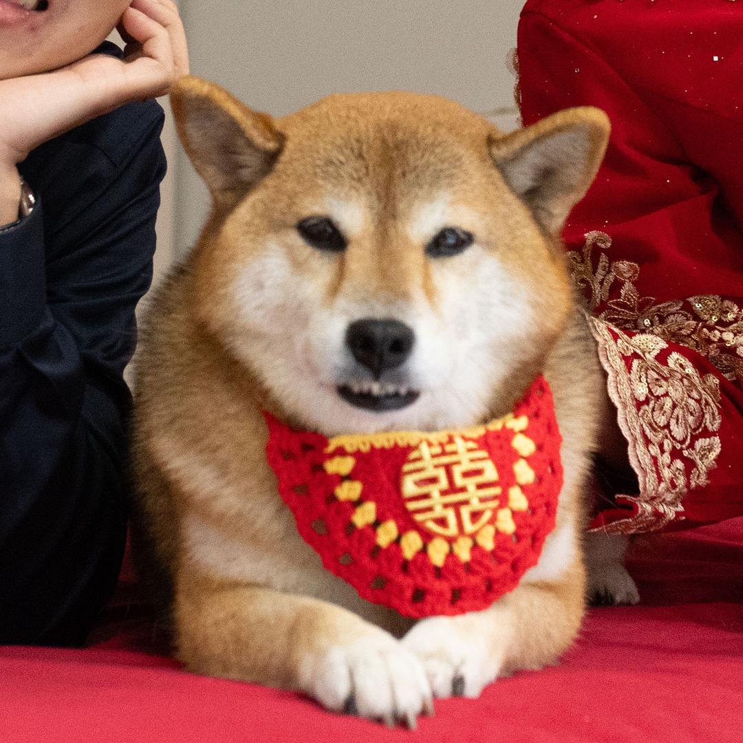 wwwz.