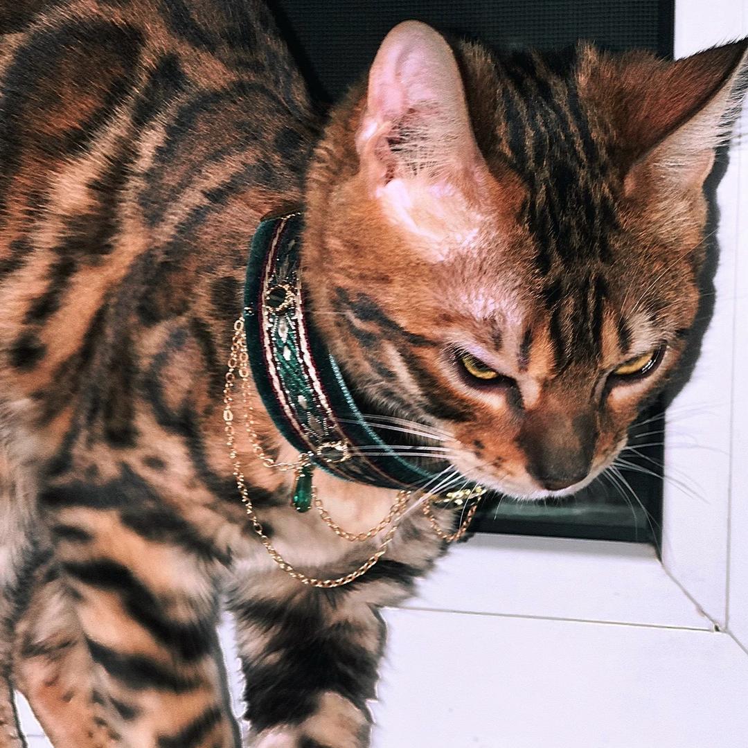 两向文化高端解压niki