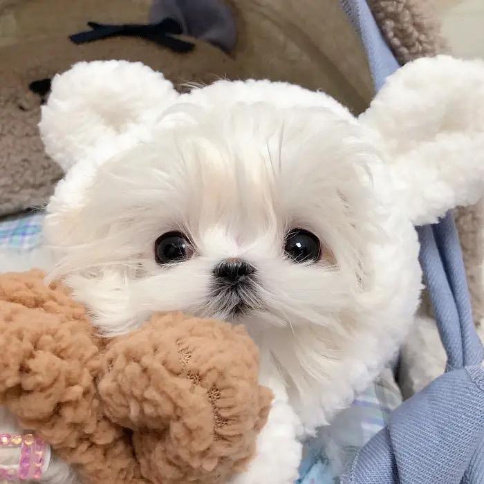 7ix.（📷看主页详情）