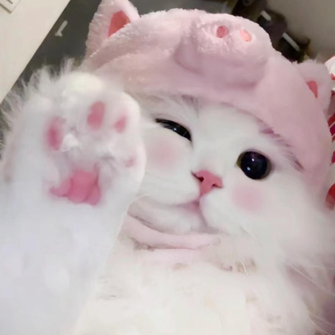 贝才