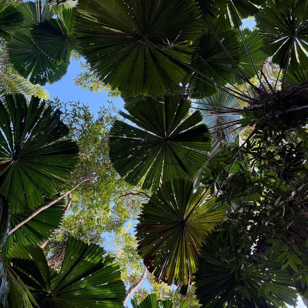 顶流出道耍大牌