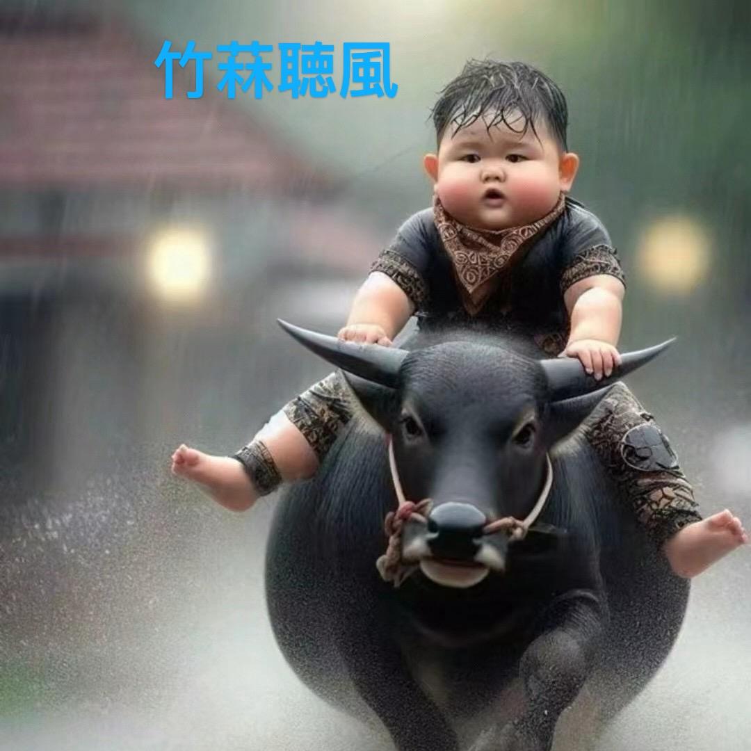 ༺༃ঌ聴風໒༃༻