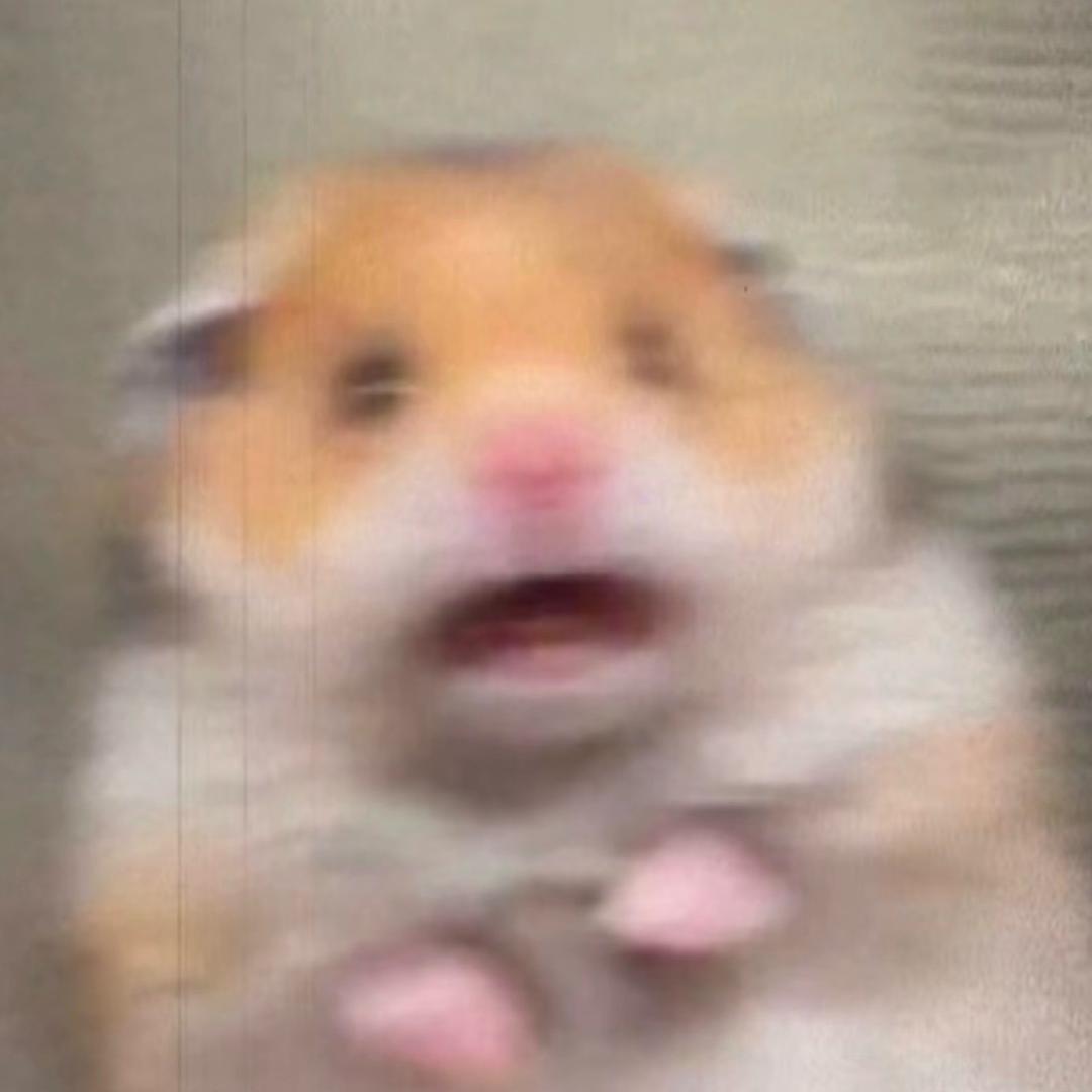 不知名的美少女壮士~