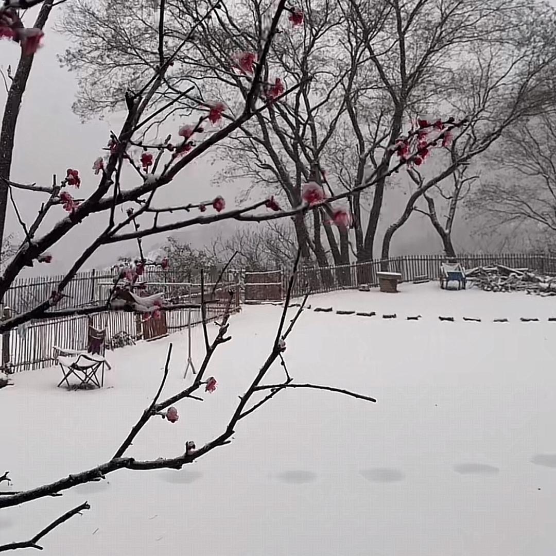 小离