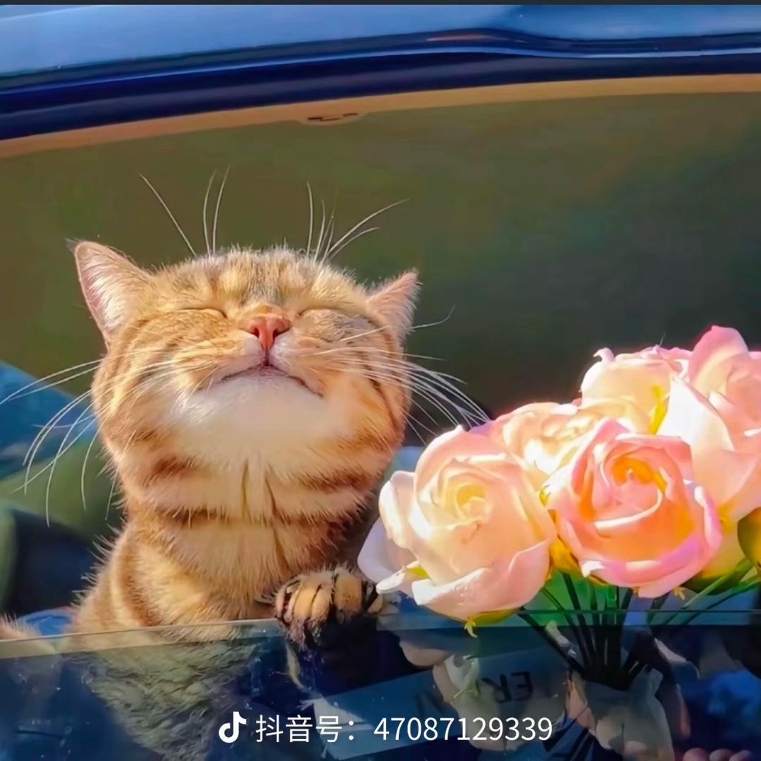 遇见锦鲤🍎🍊