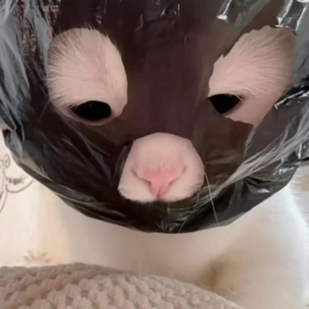 minni77