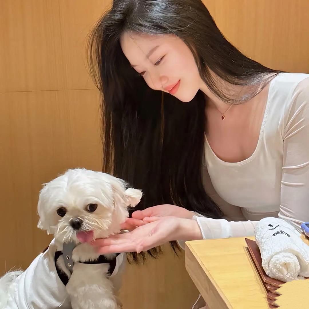 婕小梨