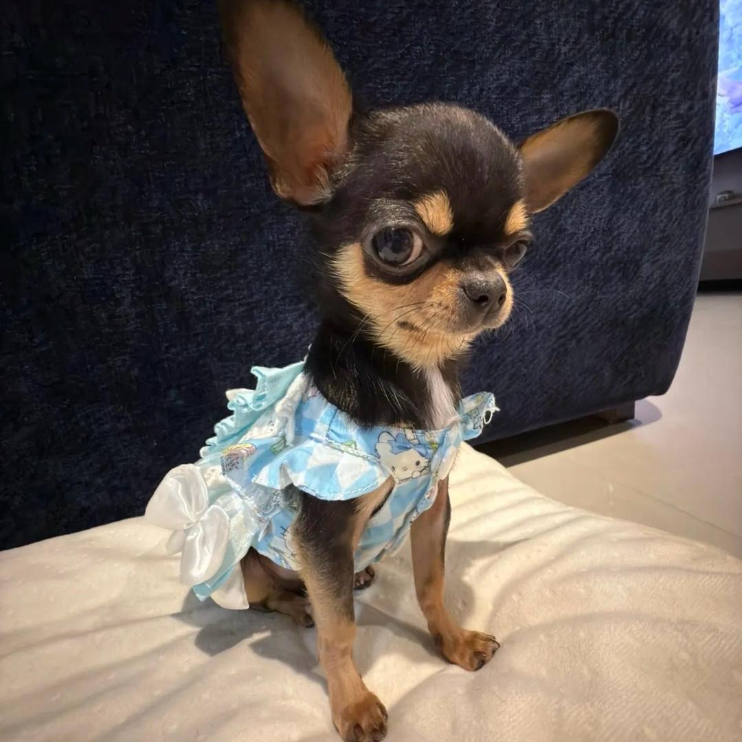 小急