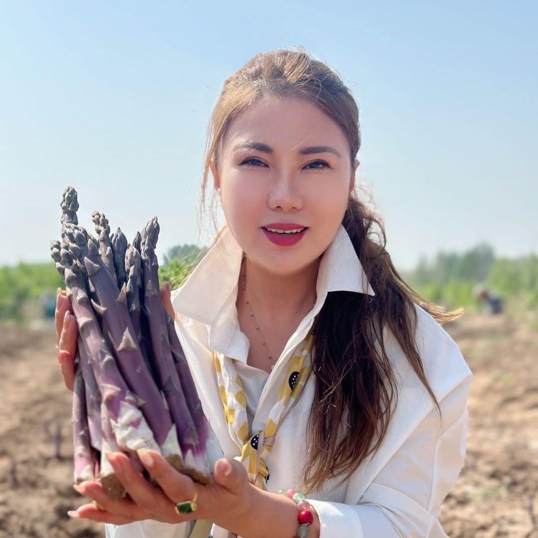 乐青芦笋金蝉基地青姐