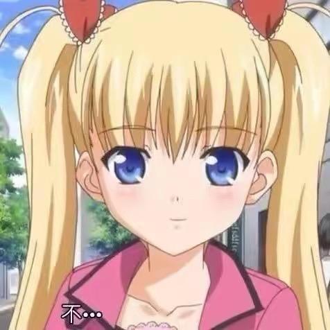 请先生嘉奖小猫