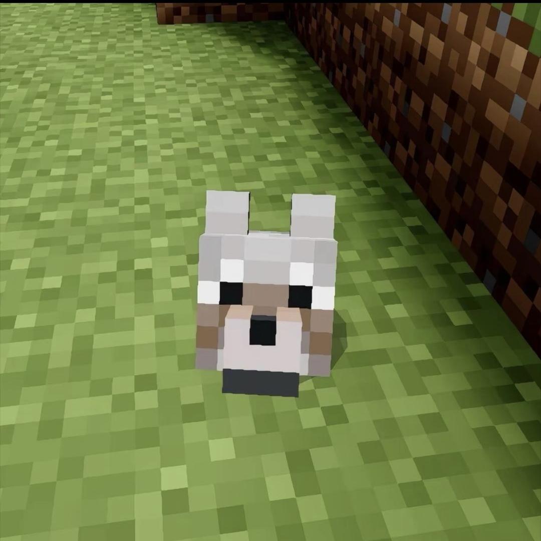 hey_21