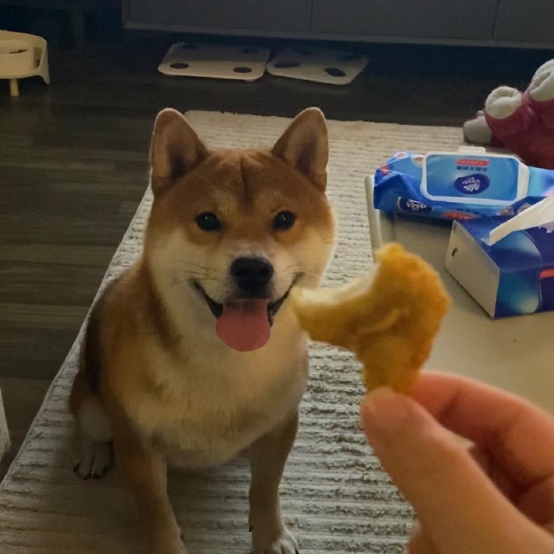 ￴ ￴ ￴ ￴￴ ￴￴