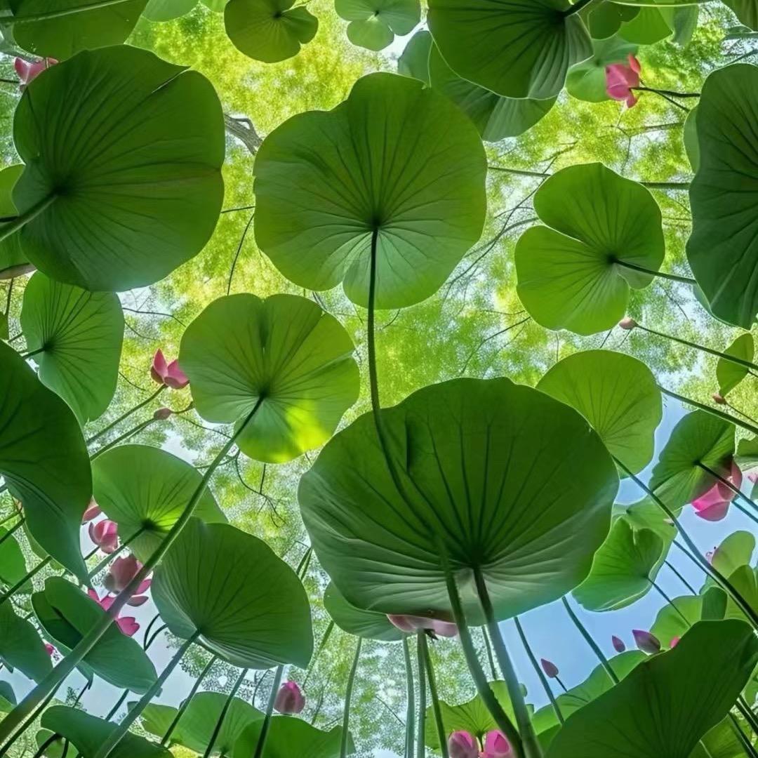 🌈愿时光清浅，许你晴天