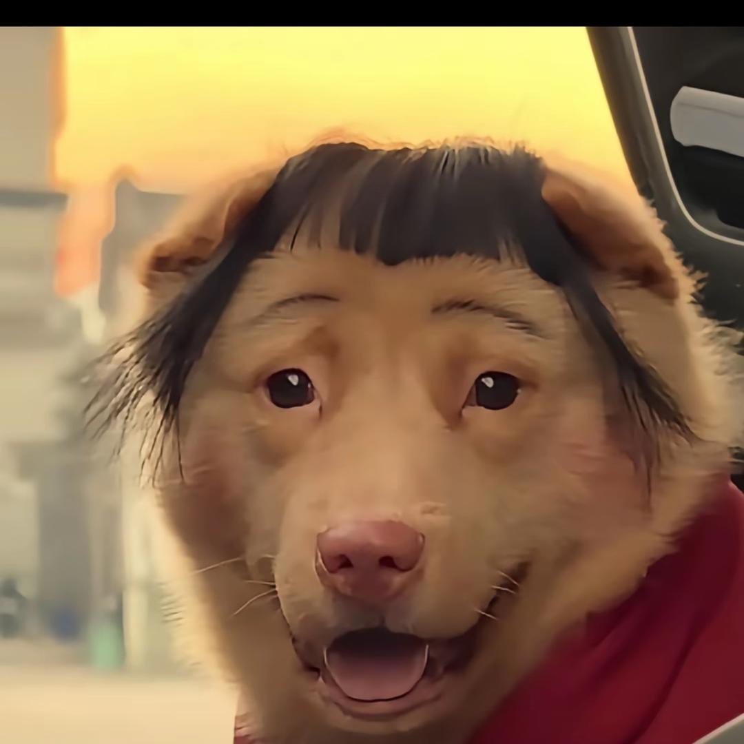 番茄你个西红柿