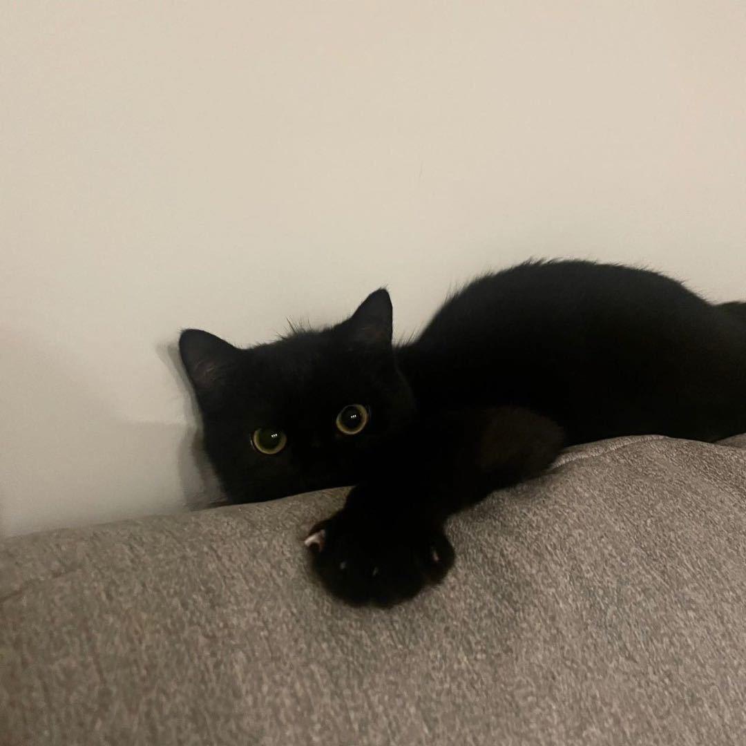 zzzz