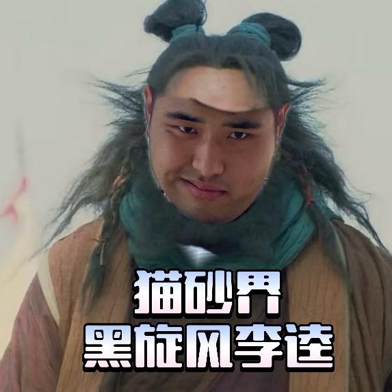 猫砂艺术家（源头工厂）