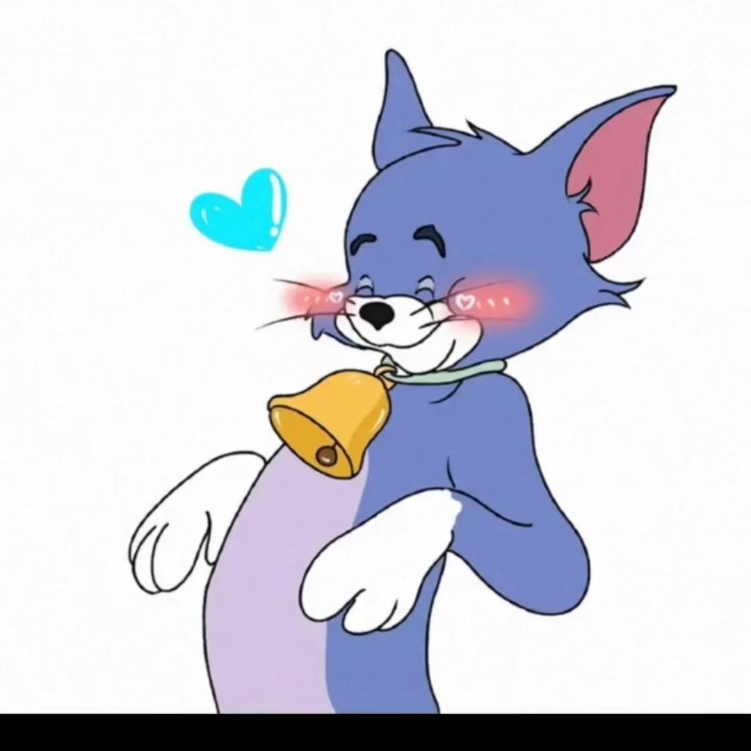 爱上老鼠的猫