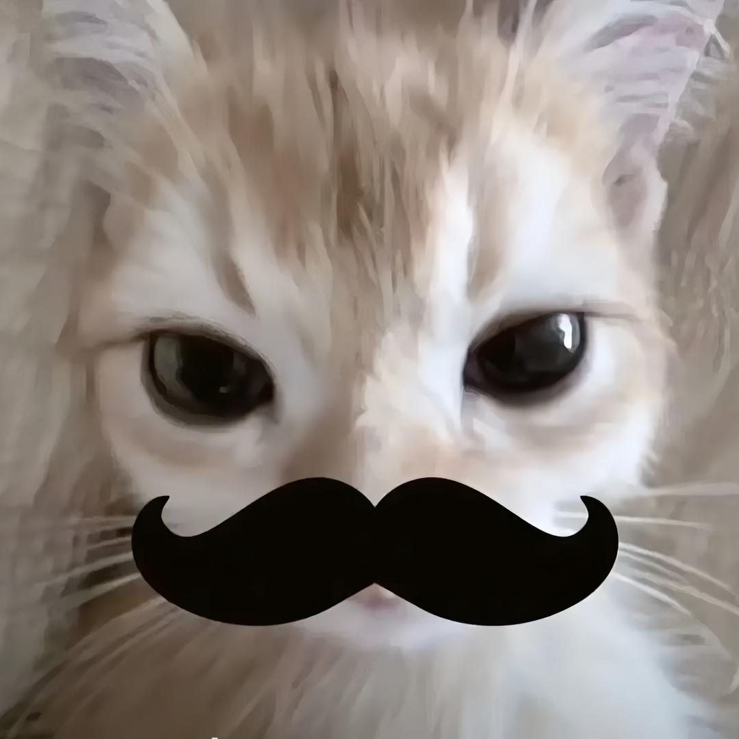 是周不是粥🥣'