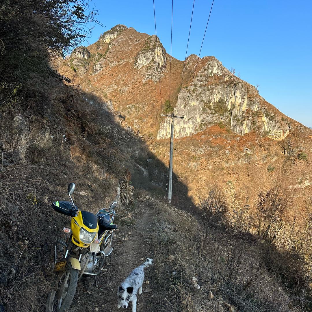 大山里的  覃宇