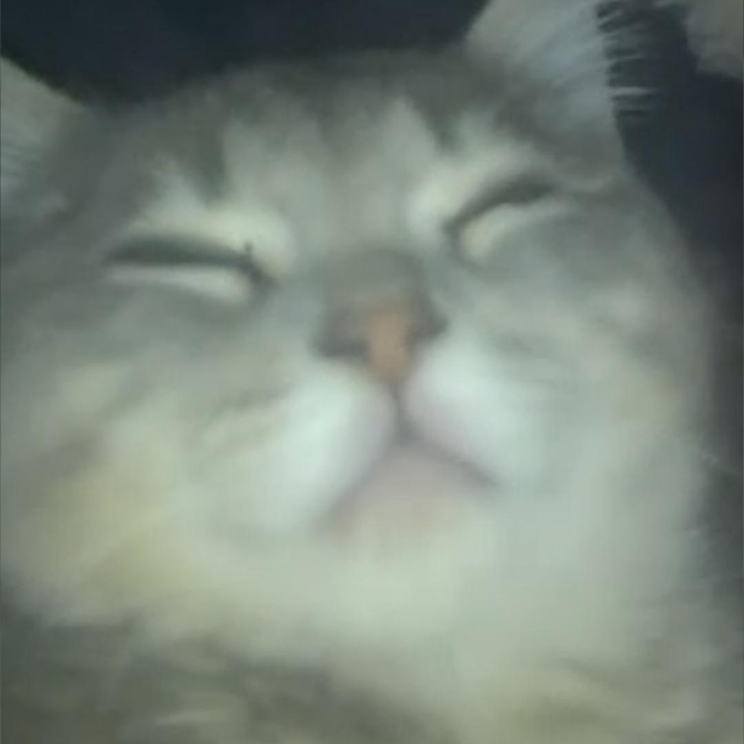 小小
