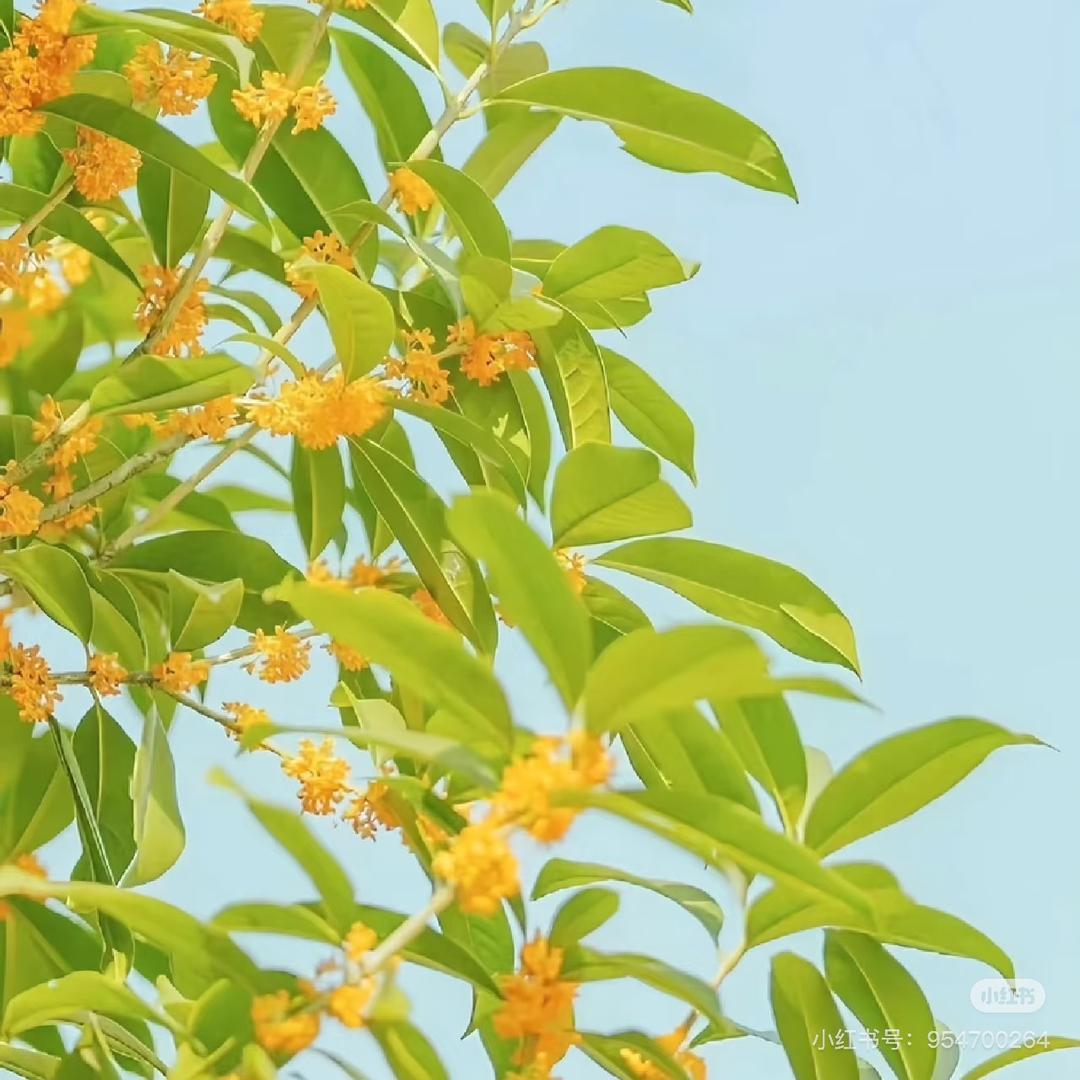 沈阳润安陪伴互行