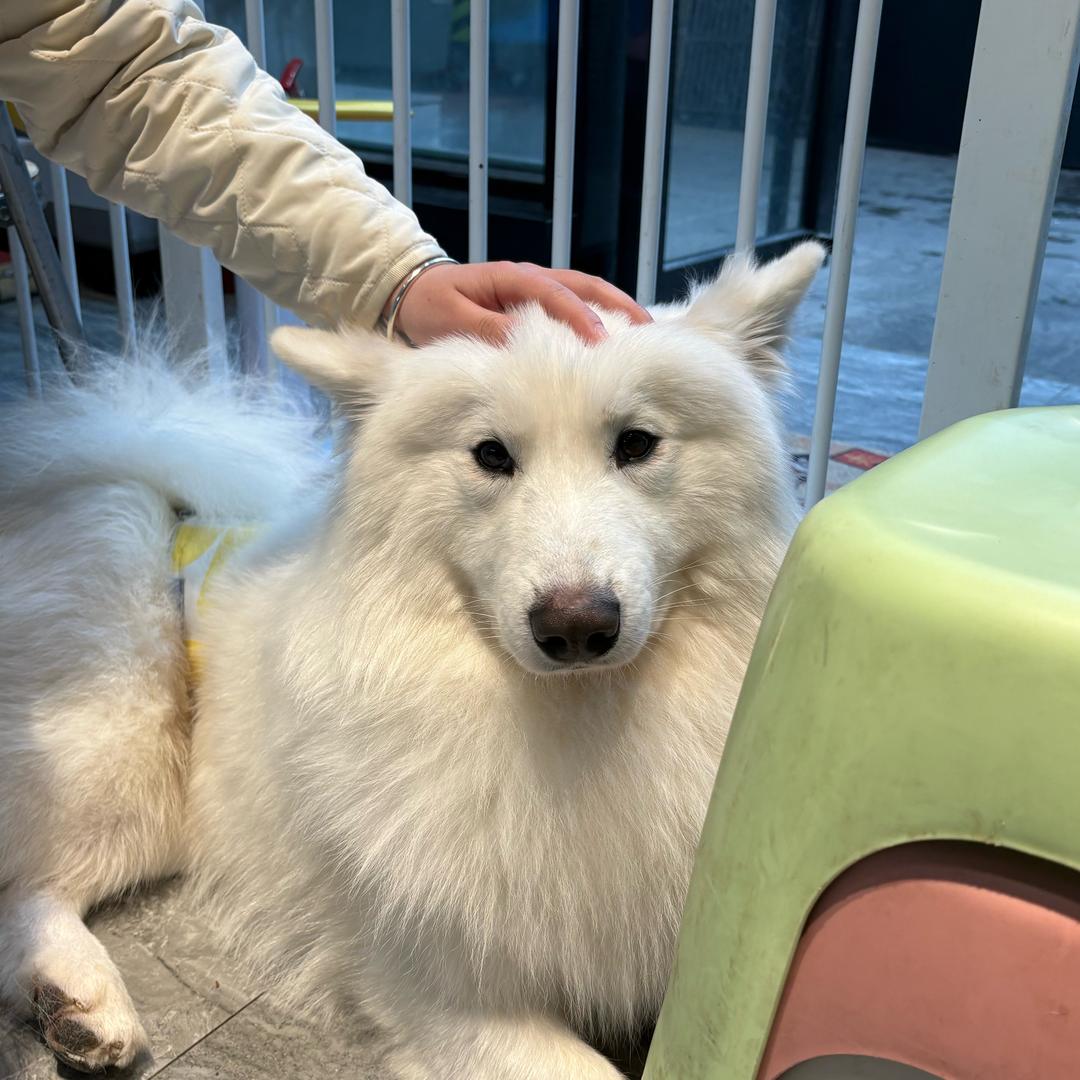 什么啊。。。