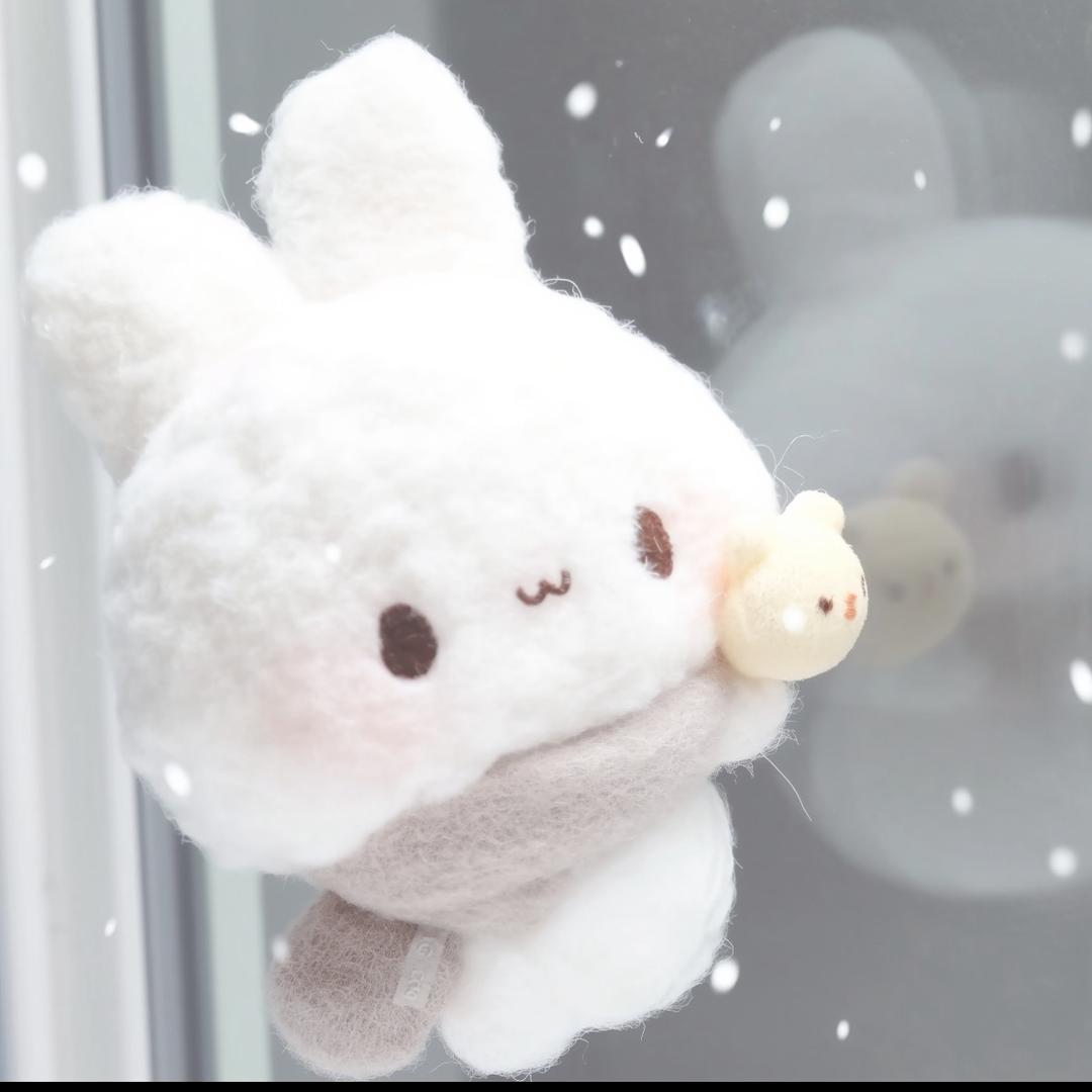 死死趴在岸上的王八