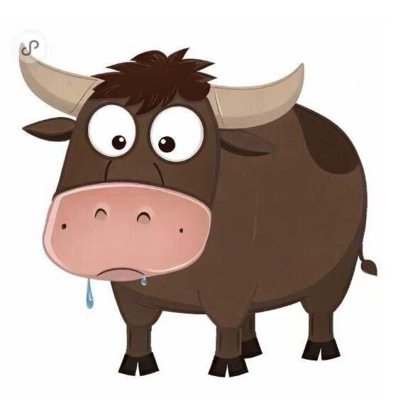 互动商显～黄先生