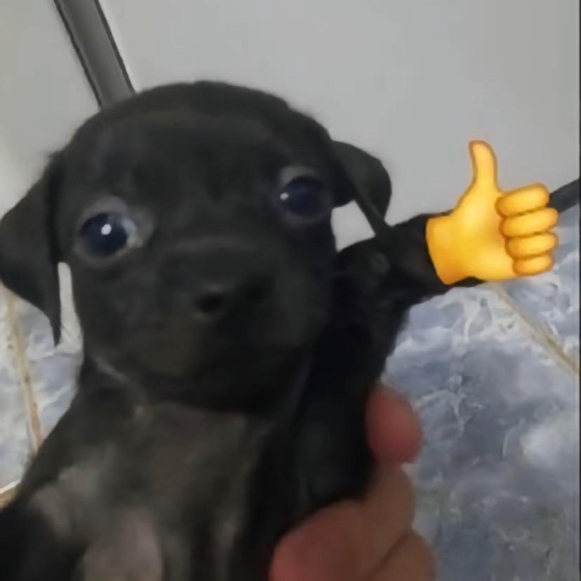 松松松松鼠