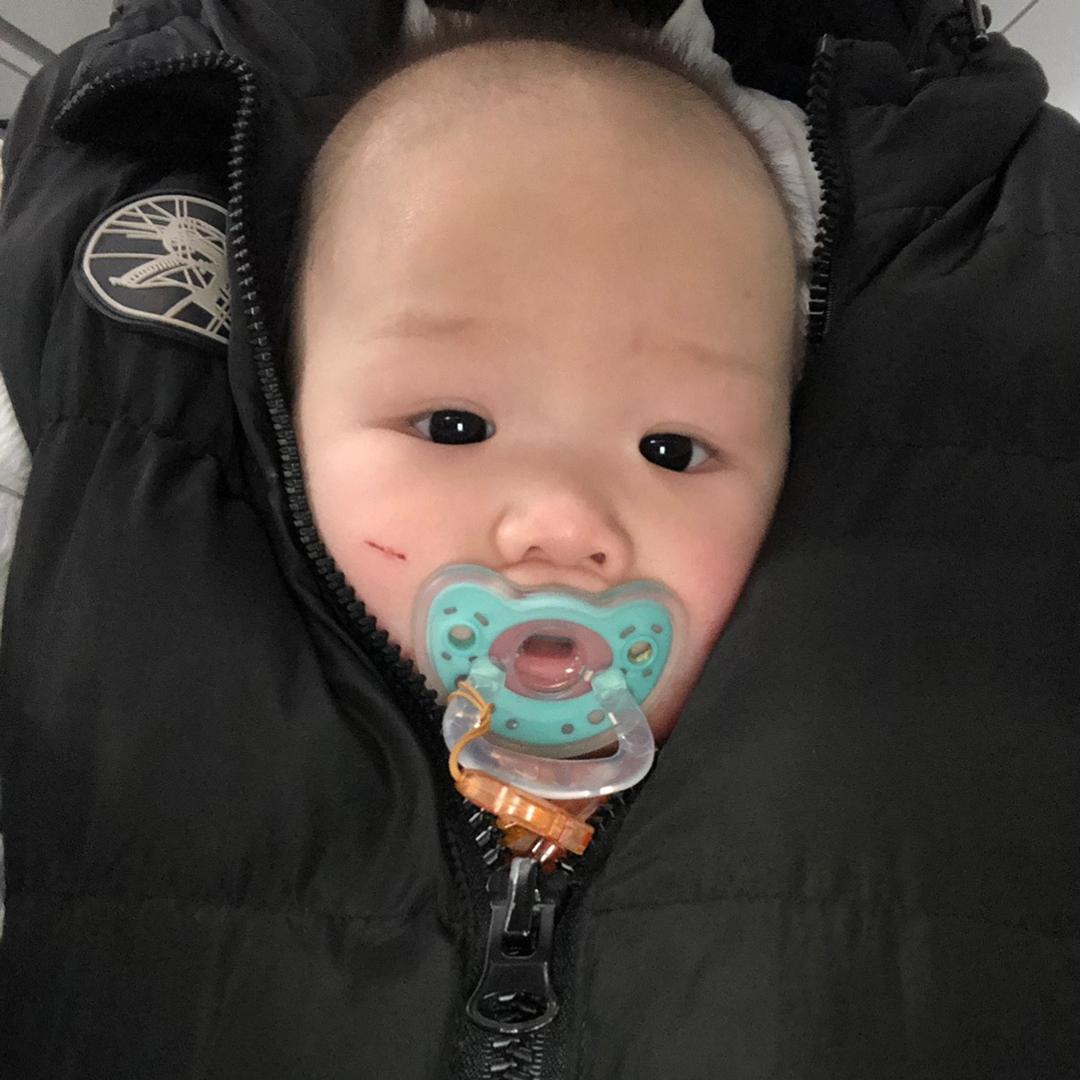 一只小金豆