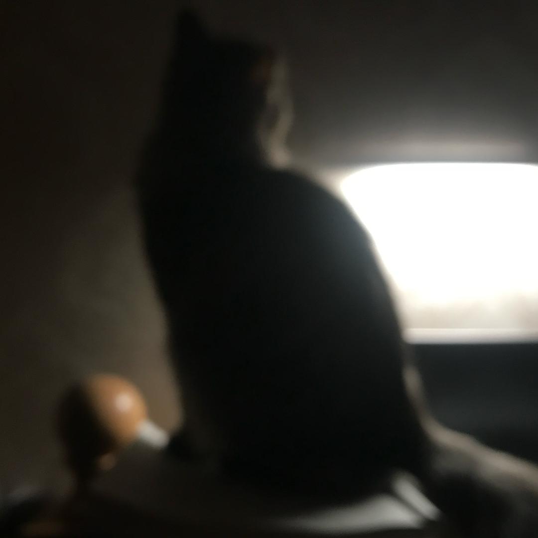 悄悄话