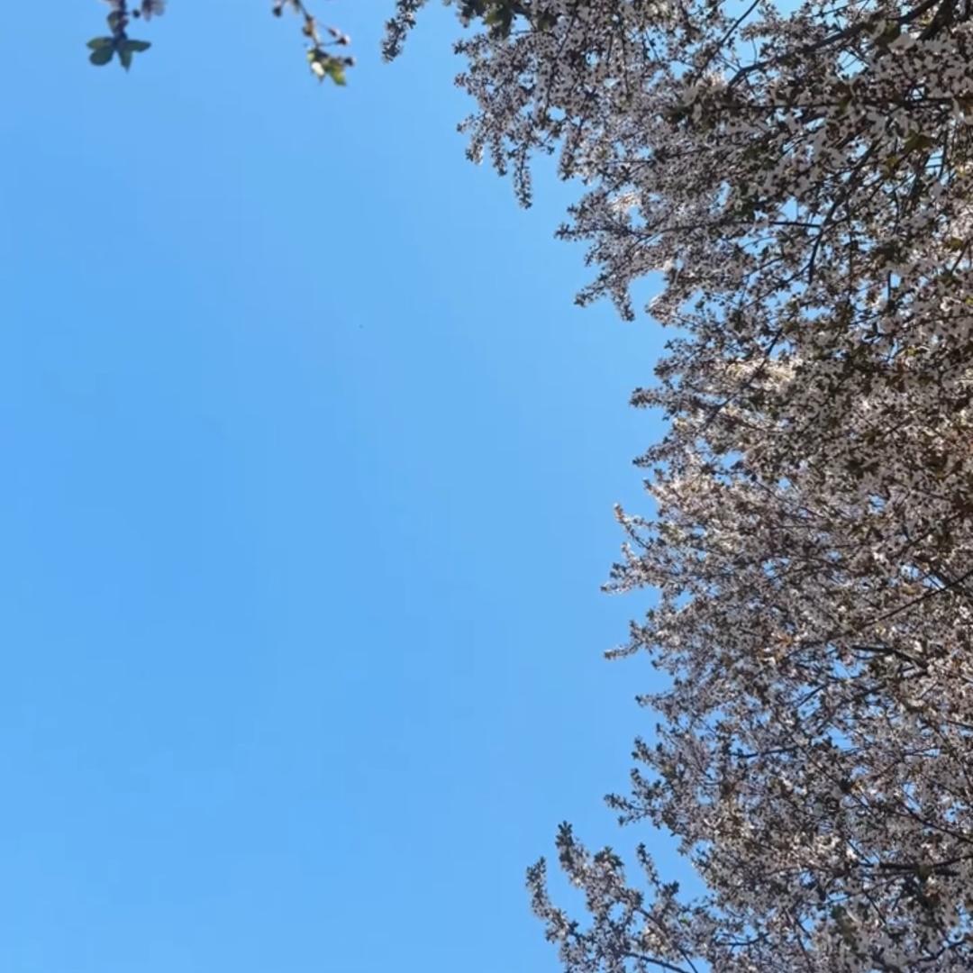 🌈吃吃睡睡～♡