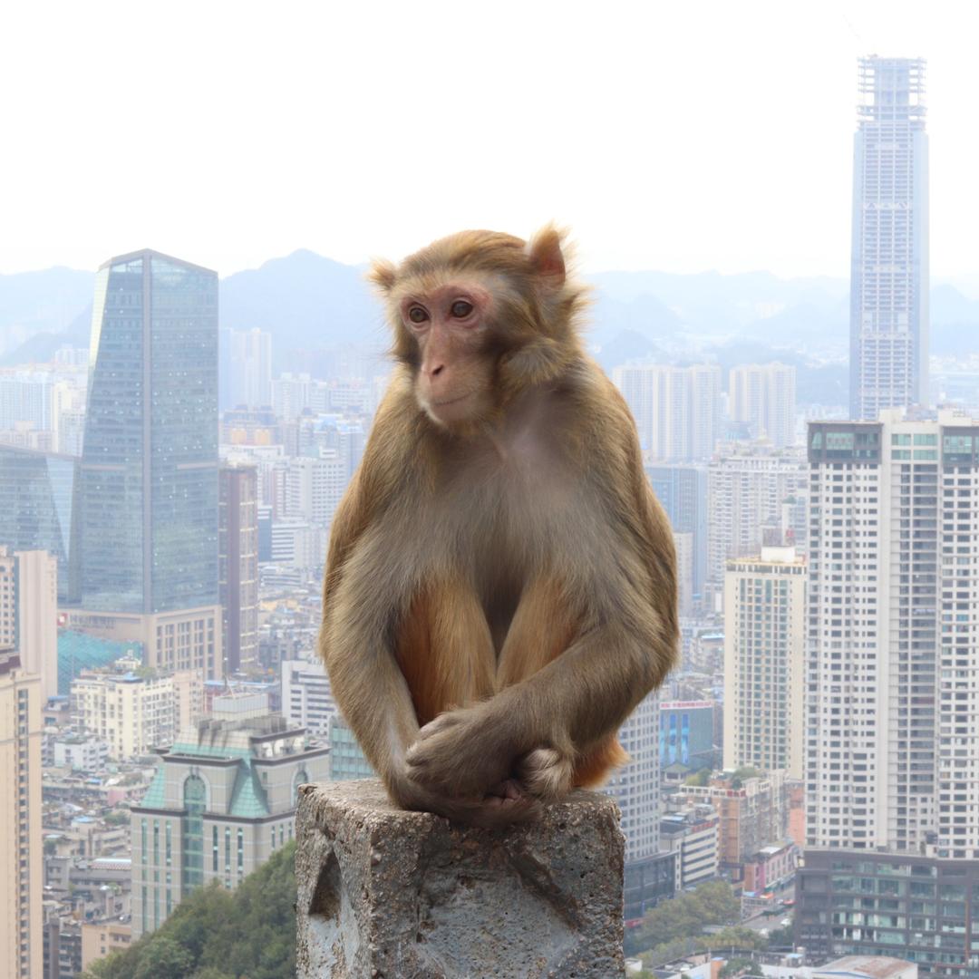 沐丨川