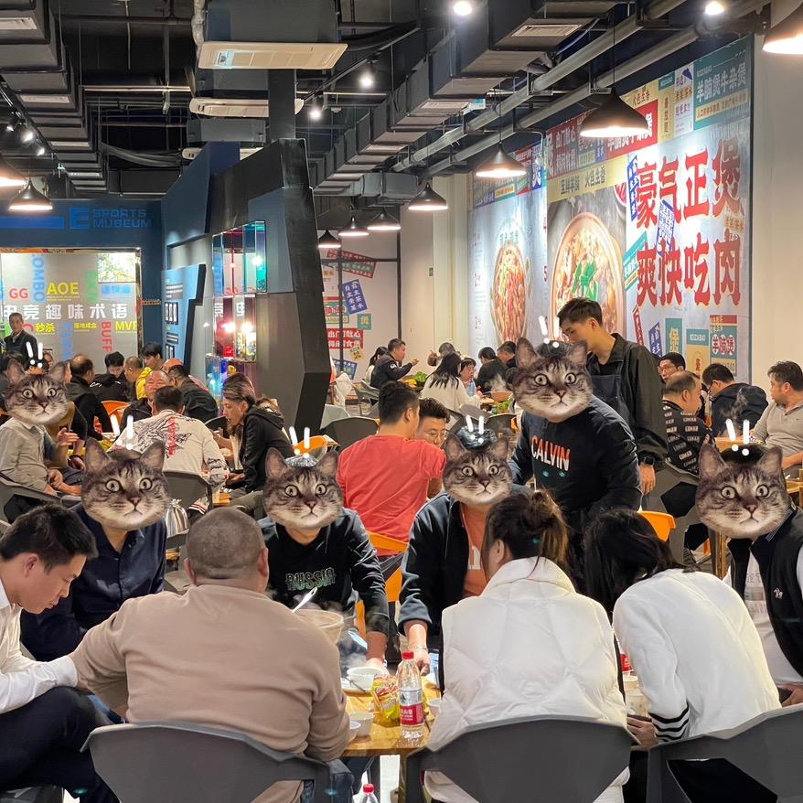 豪放题.羊腩煲.牛杂煲