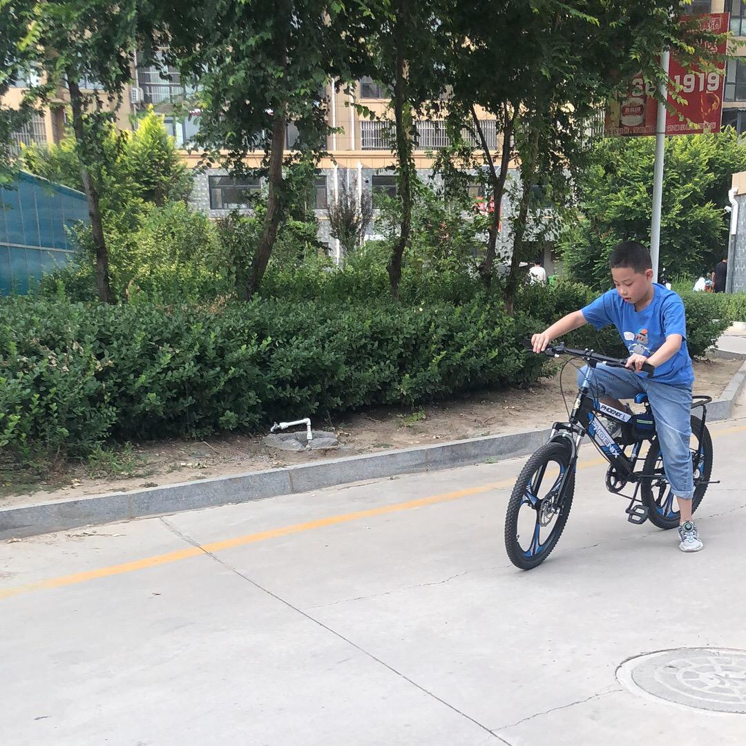 清如风飘