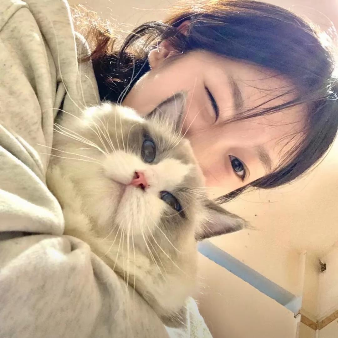 依依