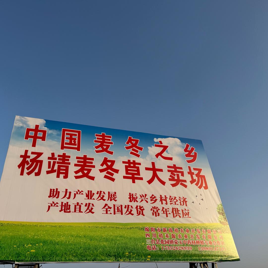 AA产地龙头企业-四川细叶麦冬草（杨靖）