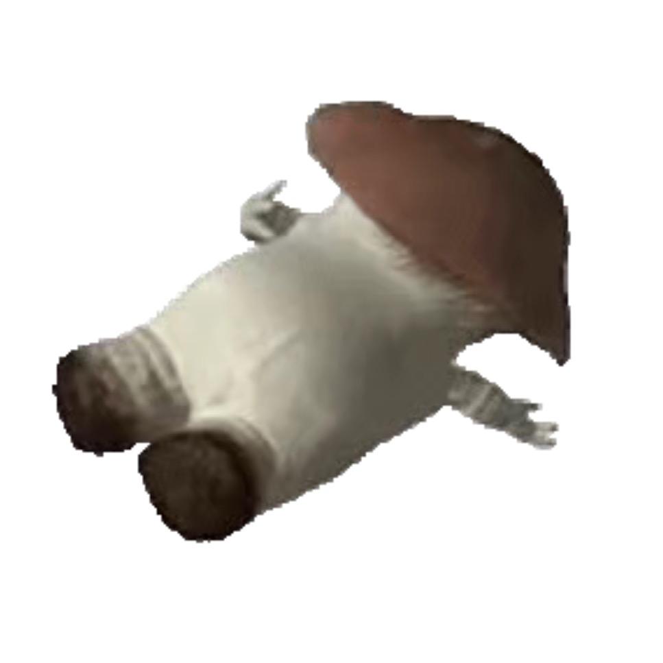 蒋大美ViersonChiang