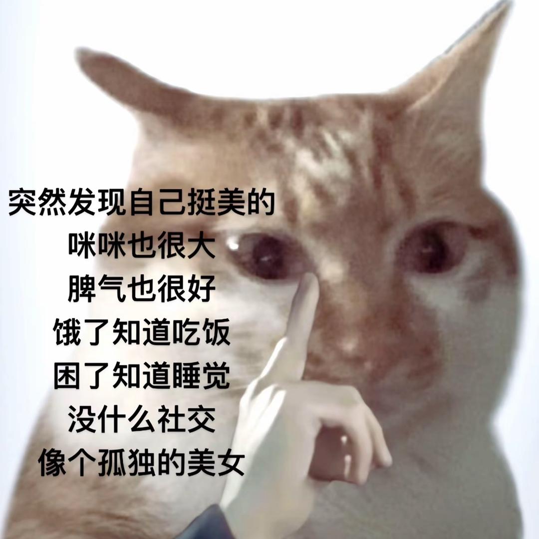 悲伤小🐶（2.0