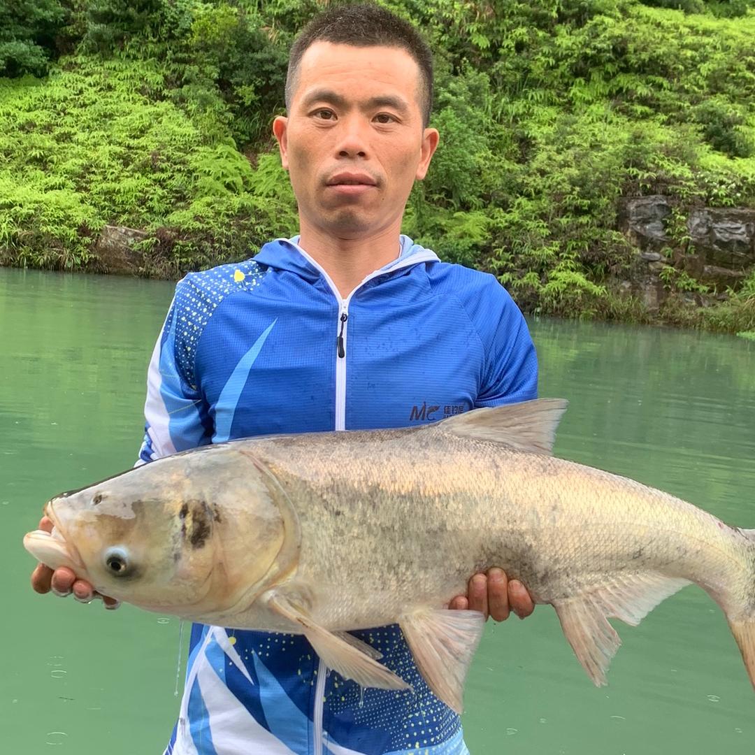 手抛户外钓鱼直播
