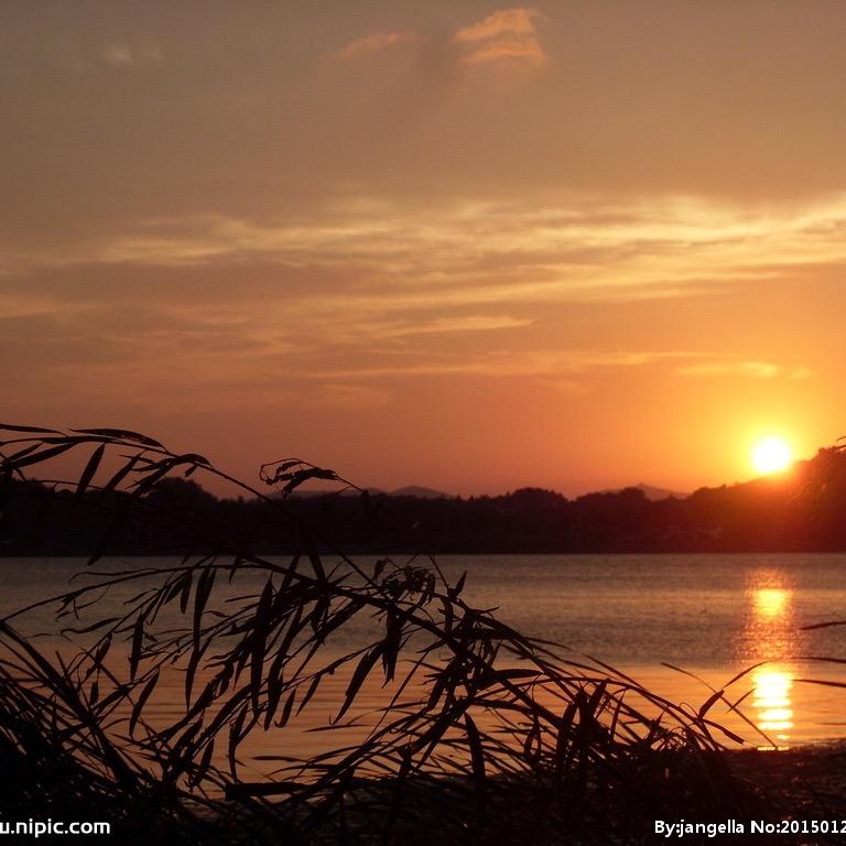 围着西瓜༃吃火炉