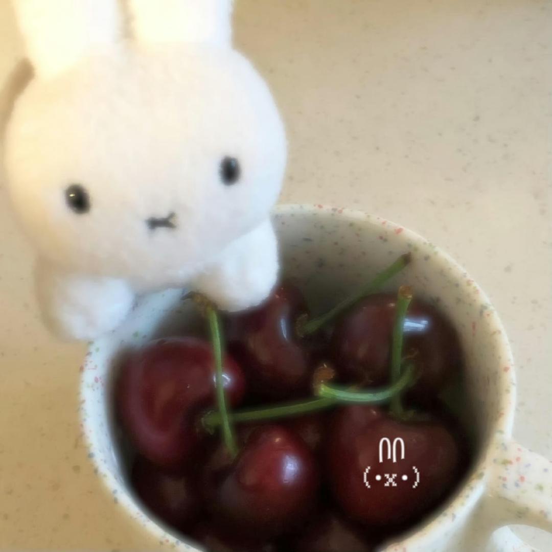 把所有轻松熊带回家