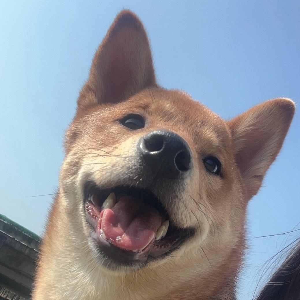 过去只是曾经