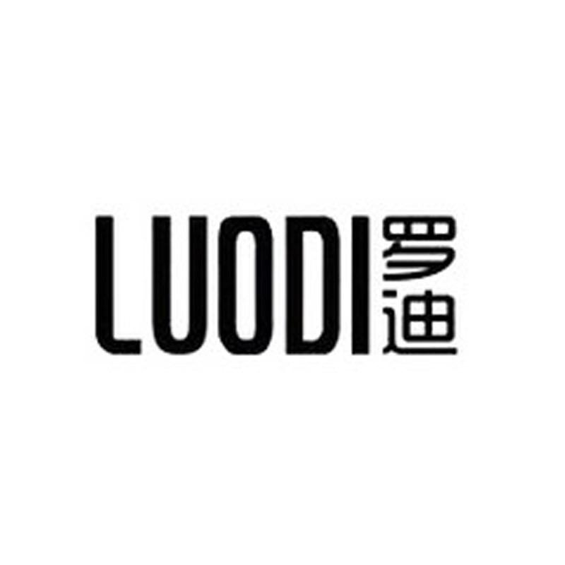 罗迪手表旗舰店