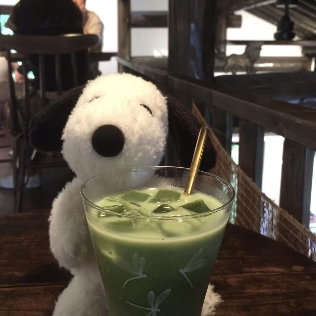 番茄小熊🧸