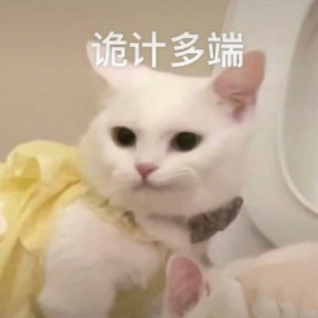 揣着糊涂装明白
