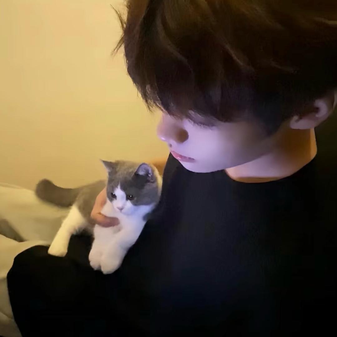 王权