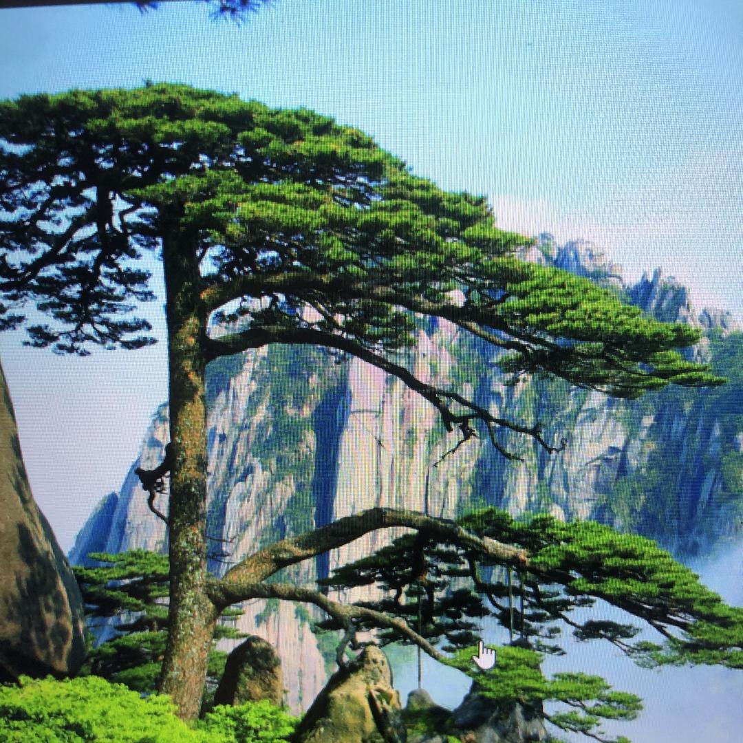 终南太白-理秀-努最