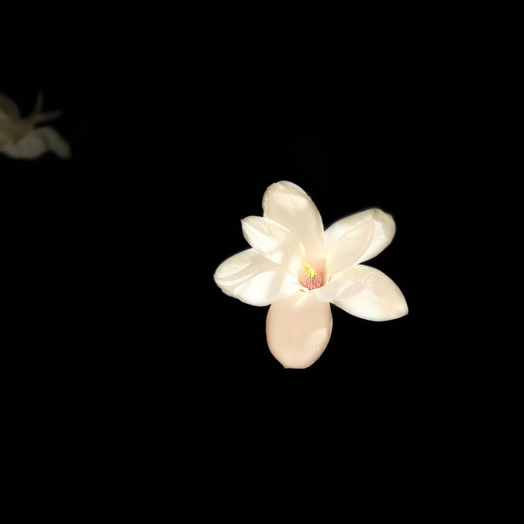 努力刷漆的小吴